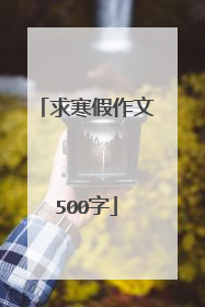 求寒假作文500字