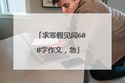 求寒假见闻600字作文，急