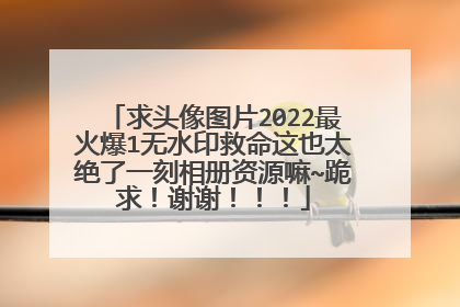 求头像图片2022最火爆1无水印救命这也太绝了一刻相册资源嘛~跪求!谢谢!!!