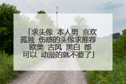 求头像 本人男 喜欢孤独 伤感的头像求推荐 欧美 古风 黑白 都可以 动漫的就不要了