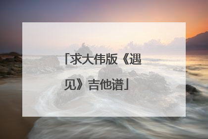 求大伟版《遇见》吉他谱