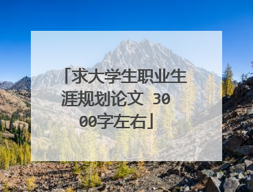 求大学生职业生涯规划论文 3000字左右