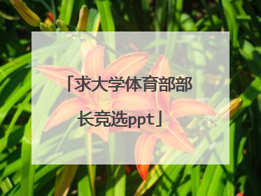 求大学体育部部长竞选ppt