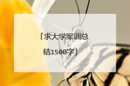 求大学军训总结1500字