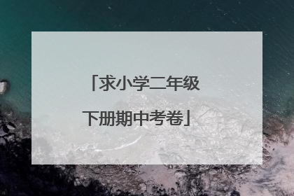 求小学二年级下册期中考卷