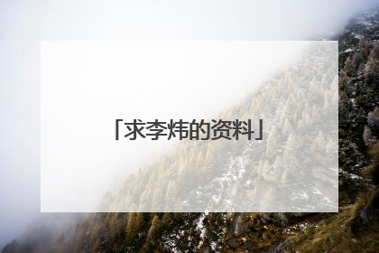 求李炜的资料