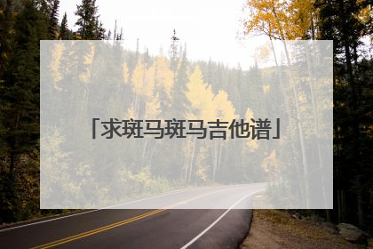 求斑马斑马吉他谱