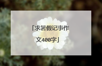 求暑假记事作文400字