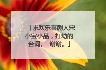 求欢乐喜剧人宋小宝小品,打劫的台词。 谢谢。