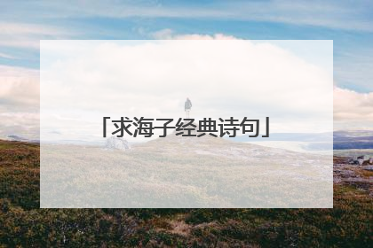 求海子经典诗句