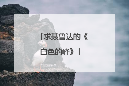 求聂鲁达的《白色的峰》