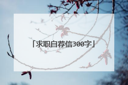 求职自荐信300字