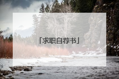 求职自荐书