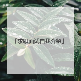 求职面试自我介绍