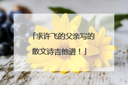 求许飞的父亲写的散文诗吉他谱！
