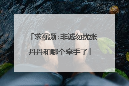 求视频:非诚勿扰张丹丹和哪个牵手了