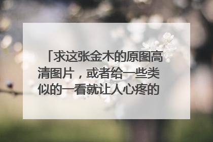 求这张金木的原图高清图片,或者给一些类似的一看就让人心疼的动漫女生头像~_~