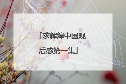 求辉煌中国观后感第一集