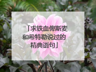 求铁血俾斯麦和希特勒说过的精典语句