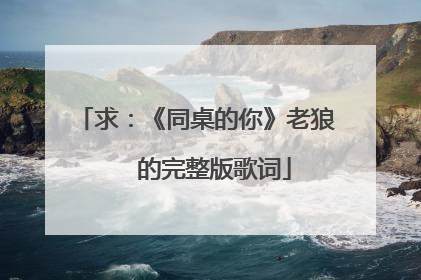 求：《同桌的你》老狼   的完整版歌词