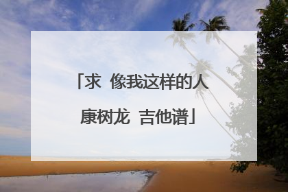 求 像我这样的人 康树龙 吉他谱