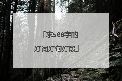 求500字的好词好句好段
