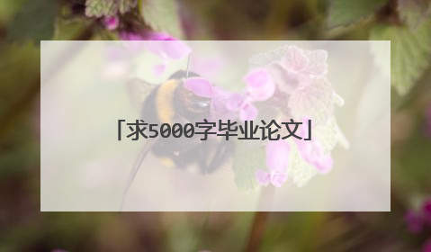 求5000字毕业论文