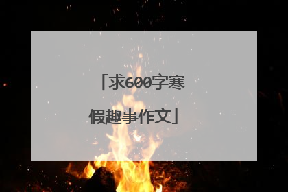 求600字寒假趣事作文