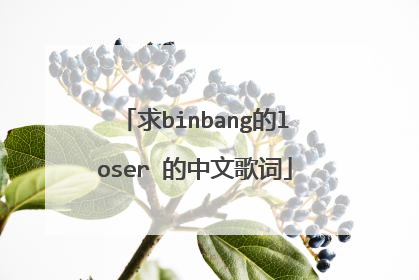 求binbang的loser 的中文歌词