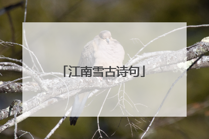 江南雪古诗句