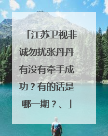 江苏卫视非诚勿扰张丹丹有没有牵手成功？有的话是哪一期？、