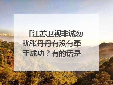 江苏卫视非诚勿扰张丹丹有没有牵手成功?有的话是哪一期?、
