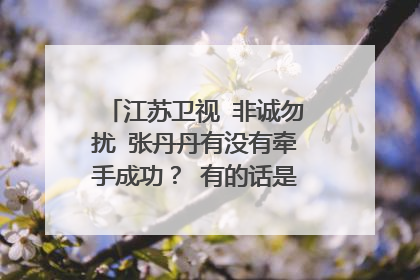 江苏卫视 非诚勿扰 张丹丹有没有牵手成功? 有的话是哪一期?、