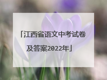 江西省语文中考试卷及答案2022年