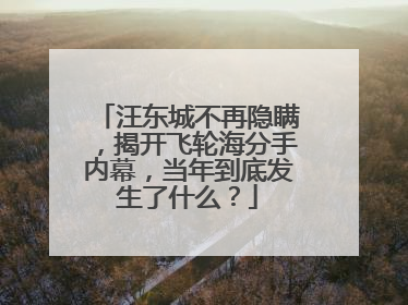 汪东城不再隐瞒，揭开飞轮海分手内幕，当年到底发生了什么？