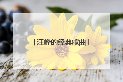 汪峰的经典歌曲