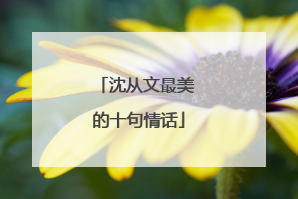沈从文最美的十句情话