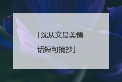 沈从文最美情话短句摘抄