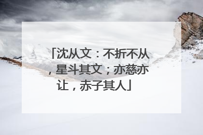 沈从文：不折不从，星斗其文；亦慈亦让，赤子其人