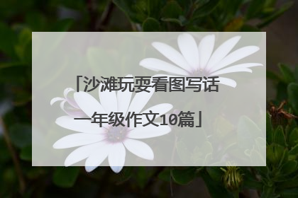 沙滩玩耍看图写话一年级作文10篇