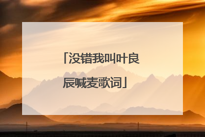 没错我叫叶良辰喊麦歌词