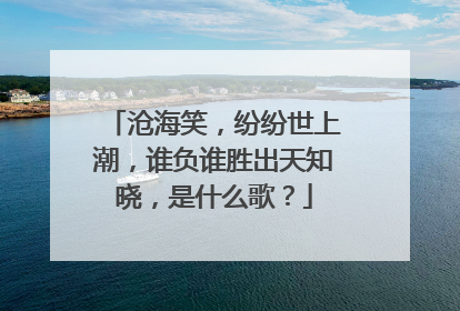 沧海笑，纷纷世上潮，谁负谁胜出天知晓，是什么歌？