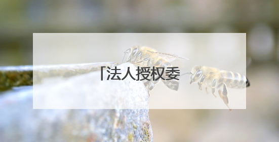 法人授权委托书怎么写