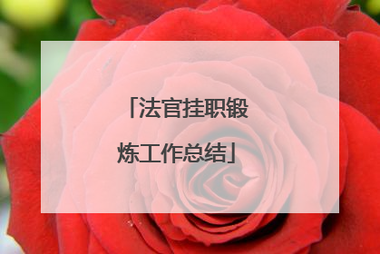 法官挂职锻炼工作总结