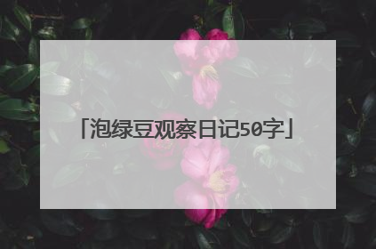 泡绿豆观察日记50字