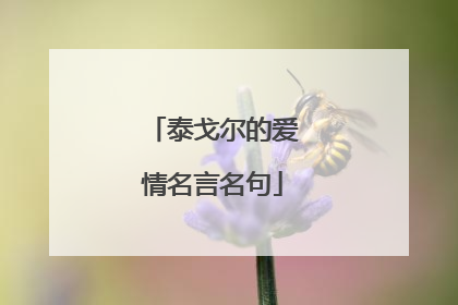 泰戈尔的爱情名言名句