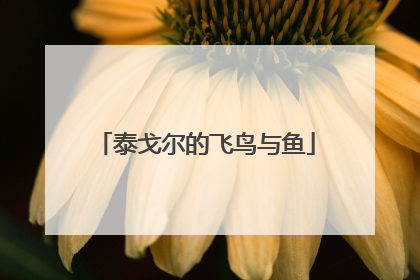 泰戈尔的飞鸟与鱼