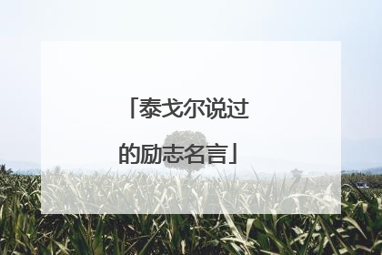 泰戈尔说过的励志名言