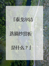 泰戈尔诗选摘抄赏析是什么？