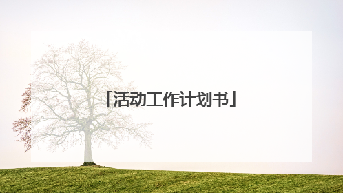 活动工作计划书